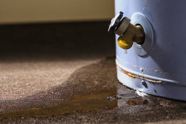 Best Residential water damage restoration  in Frankenmuth, MI