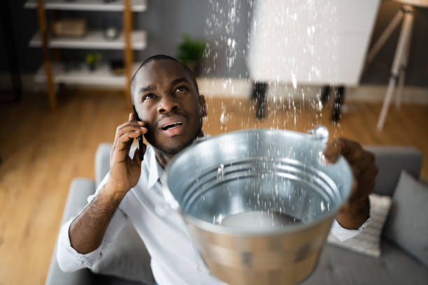 Best Flooded house restoration  in Frankenmuth, MI