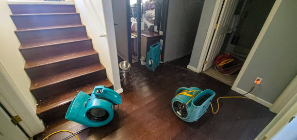 Best Flood restoration services  in Frankenmuth, MI