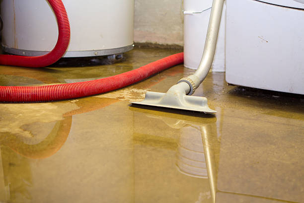 Best 24/7 water damage repair  in Frankenmuth, MI