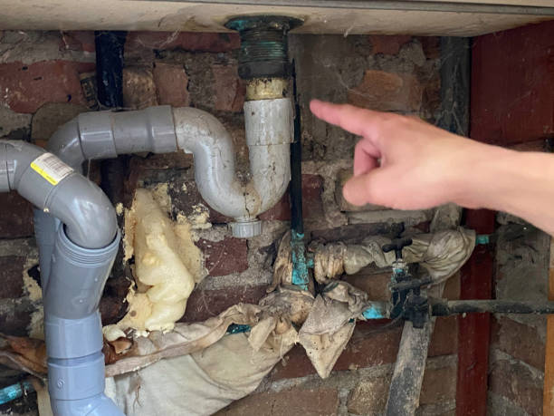 Best Flooded house restoration  in Frankenmuth, MI