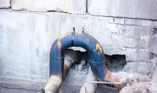 Best Local water damage restoration  in Frankenmuth, MI