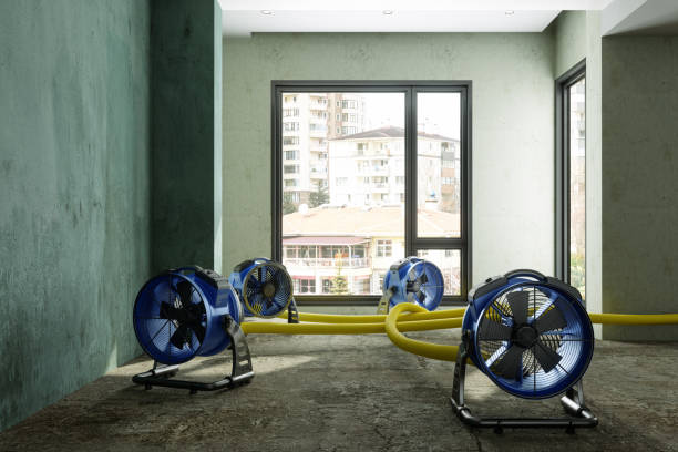Best 24-hour water damage restoration  in Frankenmuth, MI